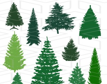 340x270 Pine Tree Svg Etsy