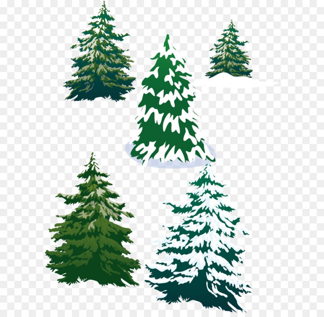 1080x1056 Png Vector Snowy Pine Trees Sohadacouri