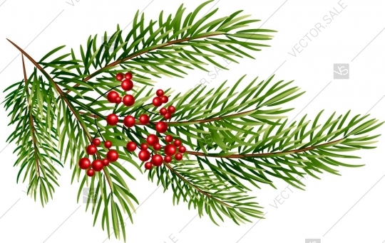 540x342 Pine Branches And Red Berry, Christmas Lights Garland