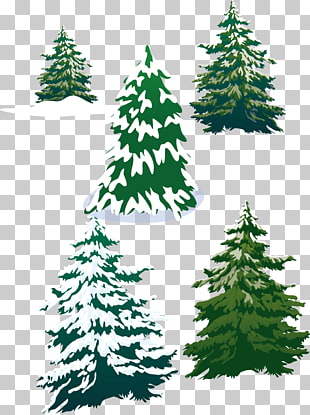 310x415 2,393 Pines Vector Png Cliparts For Free Download Uihere