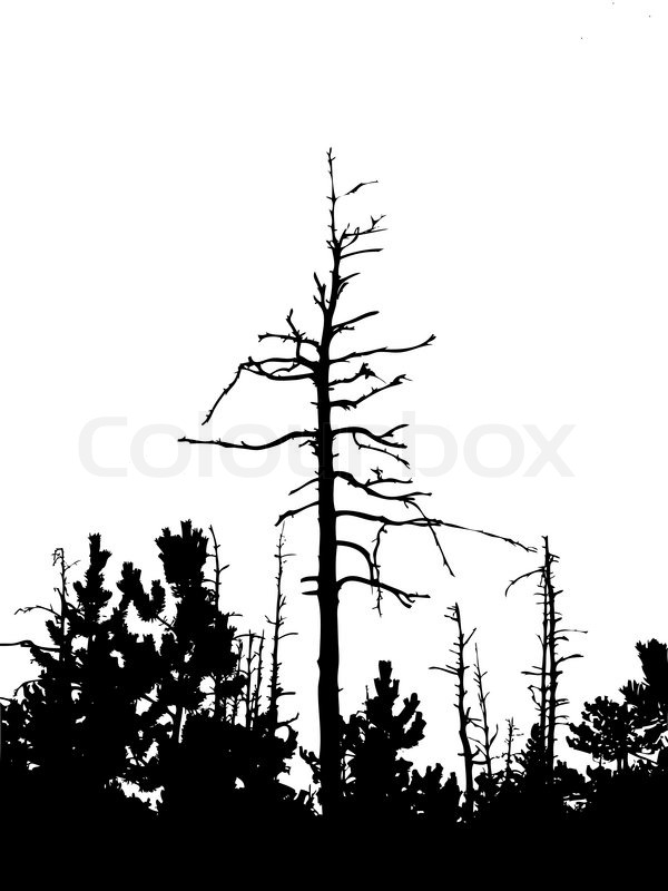 600x800 Silhouette Dry Tree Isolated On White Background Stock Vector