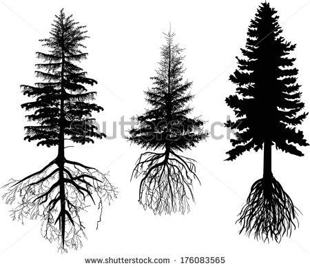 450x389 Tree Pine Vector