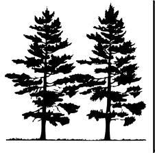 226x223 Tree Pine Vector