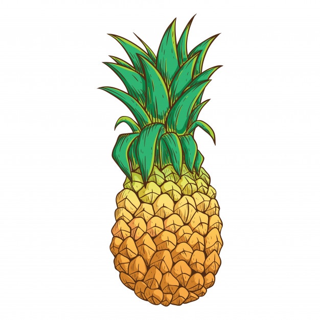 626x626 Vector Pineapple Vectors, Photos And Psd Files Free Download