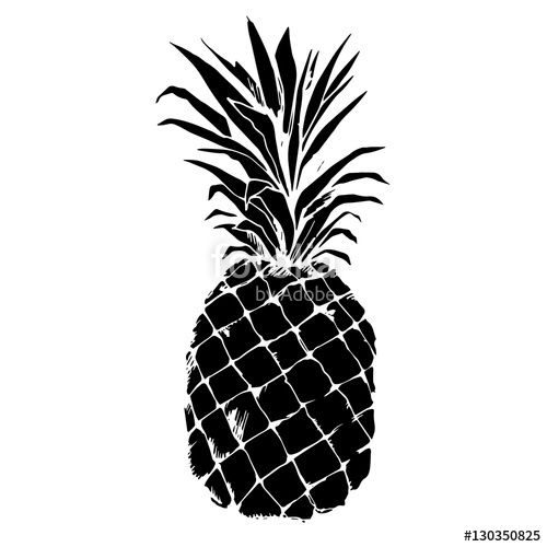 500x500 Pineapple, Vector, Fruit, Food, Tropical, Summer, Design Stock