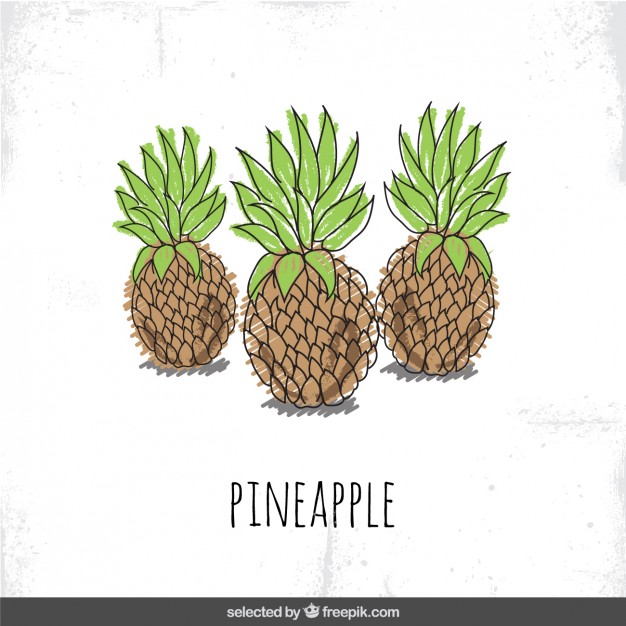 626x626 Hand Drawn Pineapple Vector Free Download