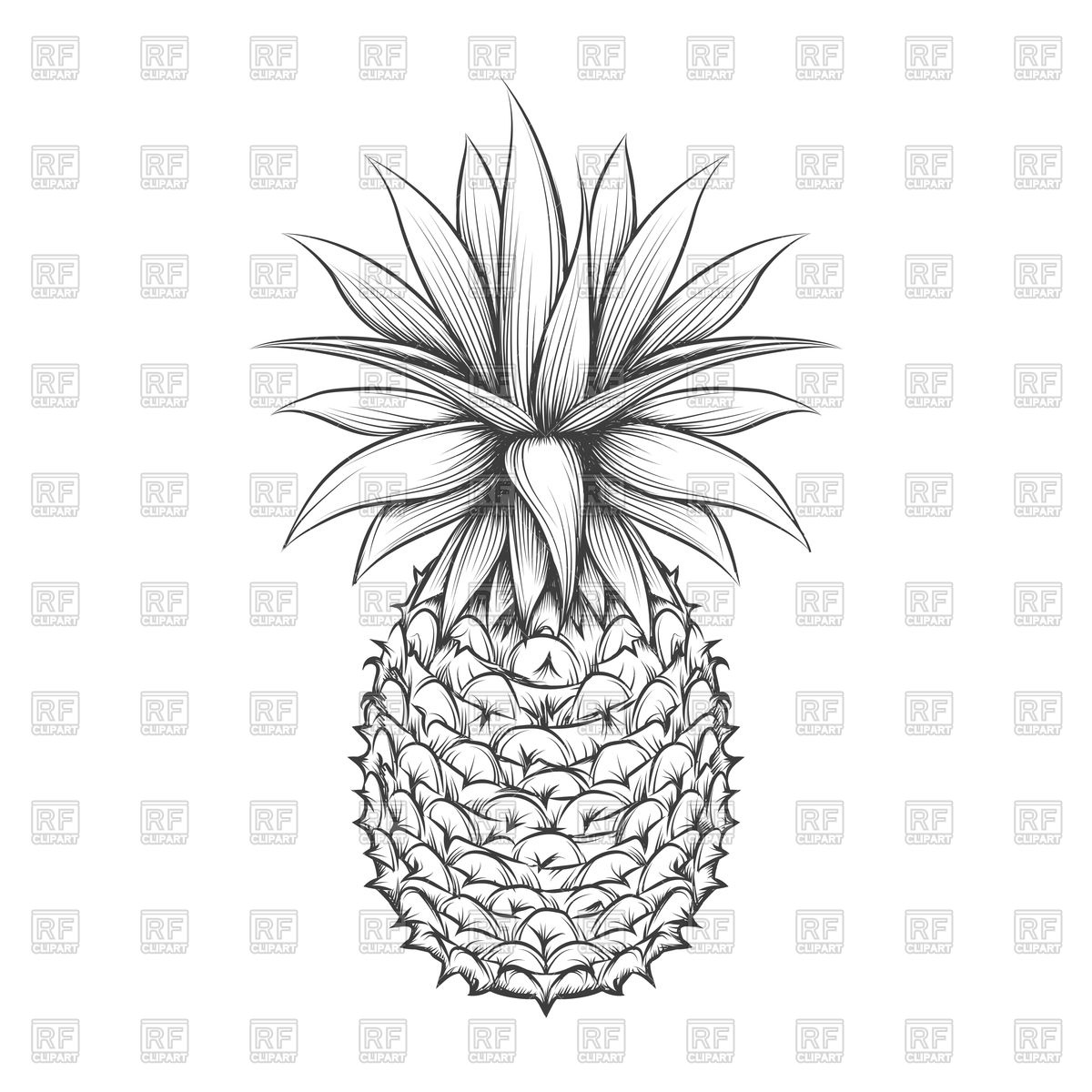 1200x1200 Hand Drawn Pineapple Vector Image Vector Artwork Of Food And