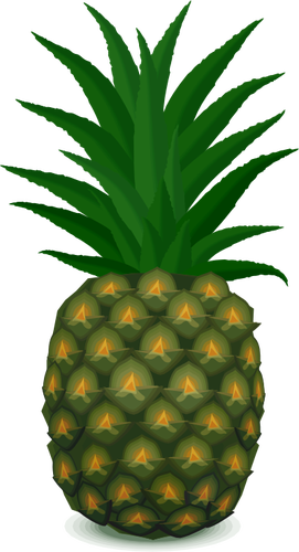 271x500 Green Pineapple Vector Image Public Domain Vectors