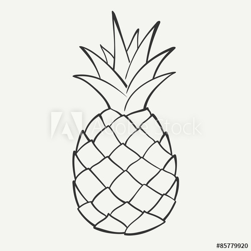500x500 Outline Black And White Image Of A Pineapple. Vector Graphics