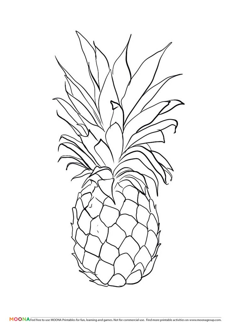 736x1041 Pineapple Vector Free (13 Photos)