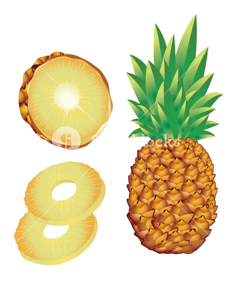 813x1000 Pineapple. Vector Illustration Royalty Free Stock Image