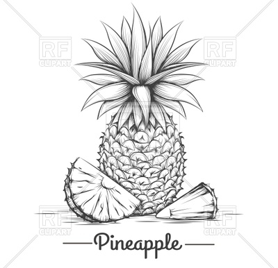 400x386 Drawn Pineapple Vector Image Vector Artwork Of Food And
