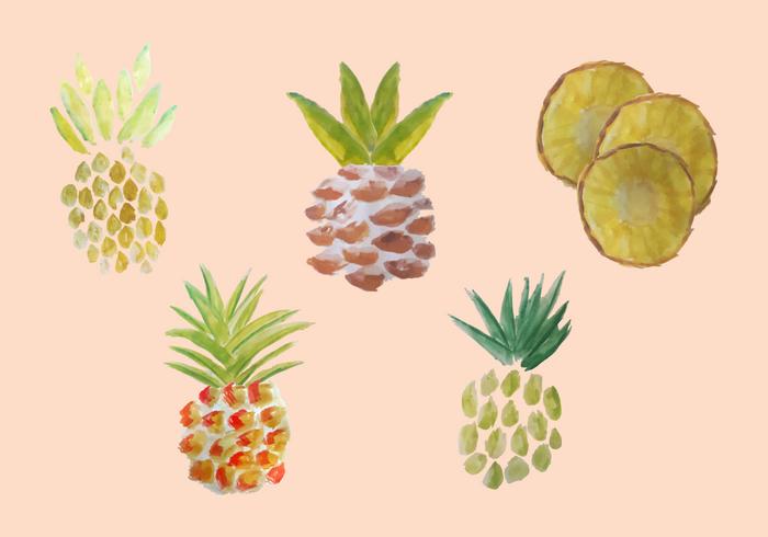 700x490 Free Watercolor Pineapple Vector Pack