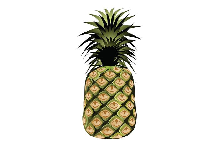 700x490 Pineapple Free Vector Art