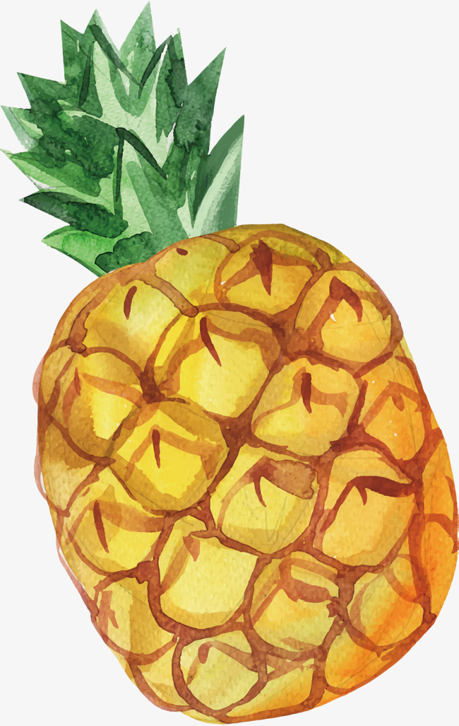 650x1026 Pineapple Png, Vectors, Psd, And Clipart For Free Download Pngtree