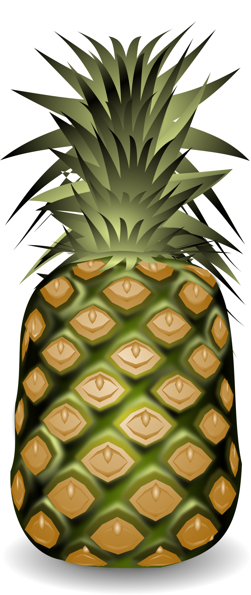 1013x2400 Pineapple Vector Art Image