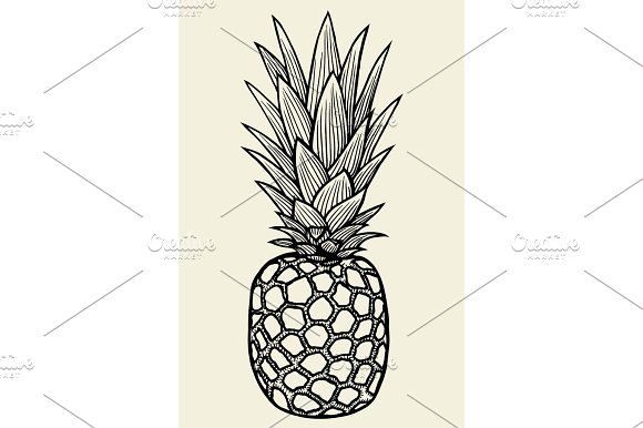580x386 Pineapple Vector Illustration Vector Art, Hand Drawn