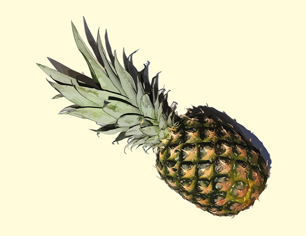 600x464 Pineapple Vector Art On Behance