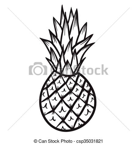 449x470 Pineapple Vector Hand Drawn Illustration Icon .