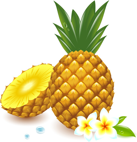 469x484 Fresh Pineapple Vector Graphic Free Vector In Encapsulated