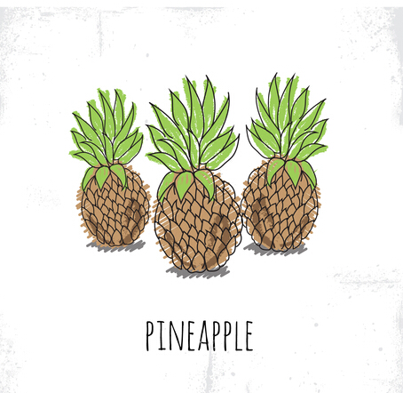 454x442 Hand Drawn Pineapple Vector Free Download Ai Files