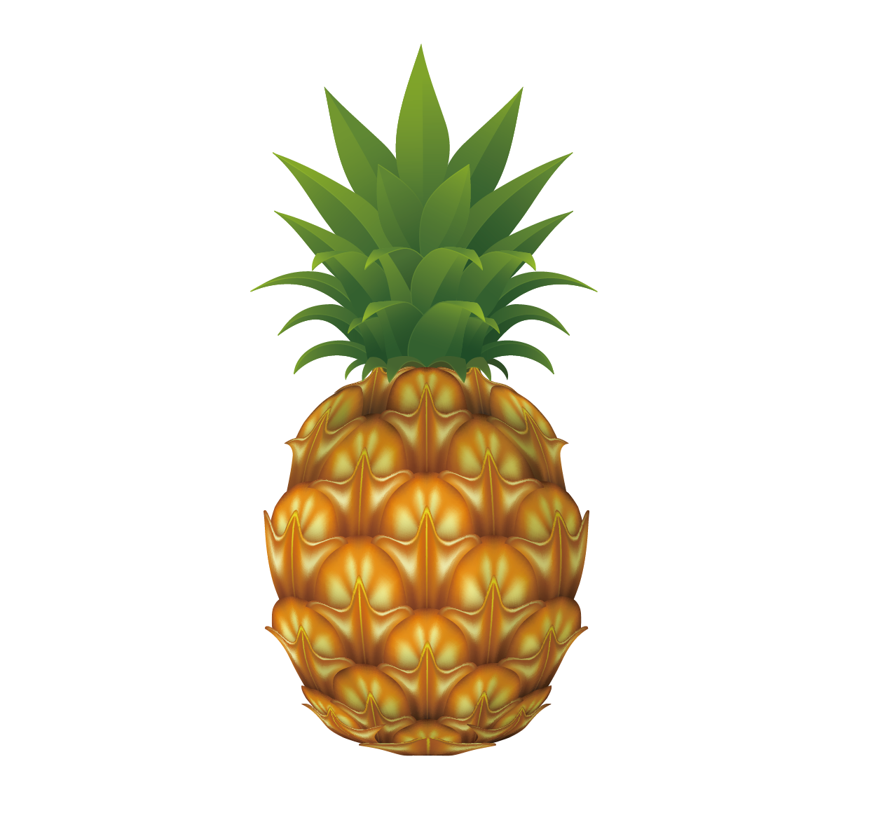 1240x1170 Pineapple Drawing Clip Art