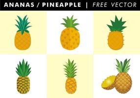 286x200 Pineapple Free Vector Art