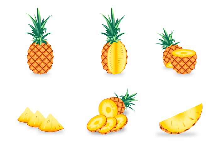 700x490 Pineapple Free Vector Art
