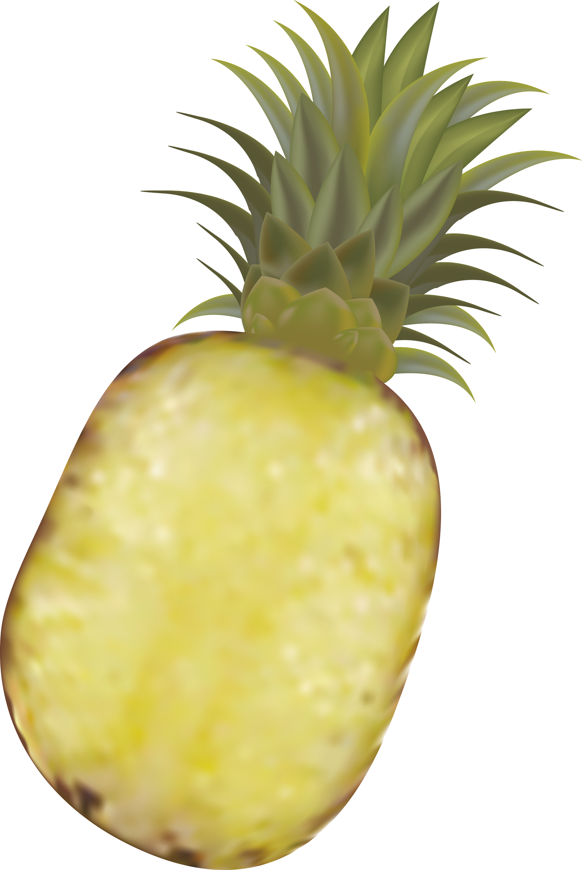 2383x3558 Pineapple Fruit Royalty Free