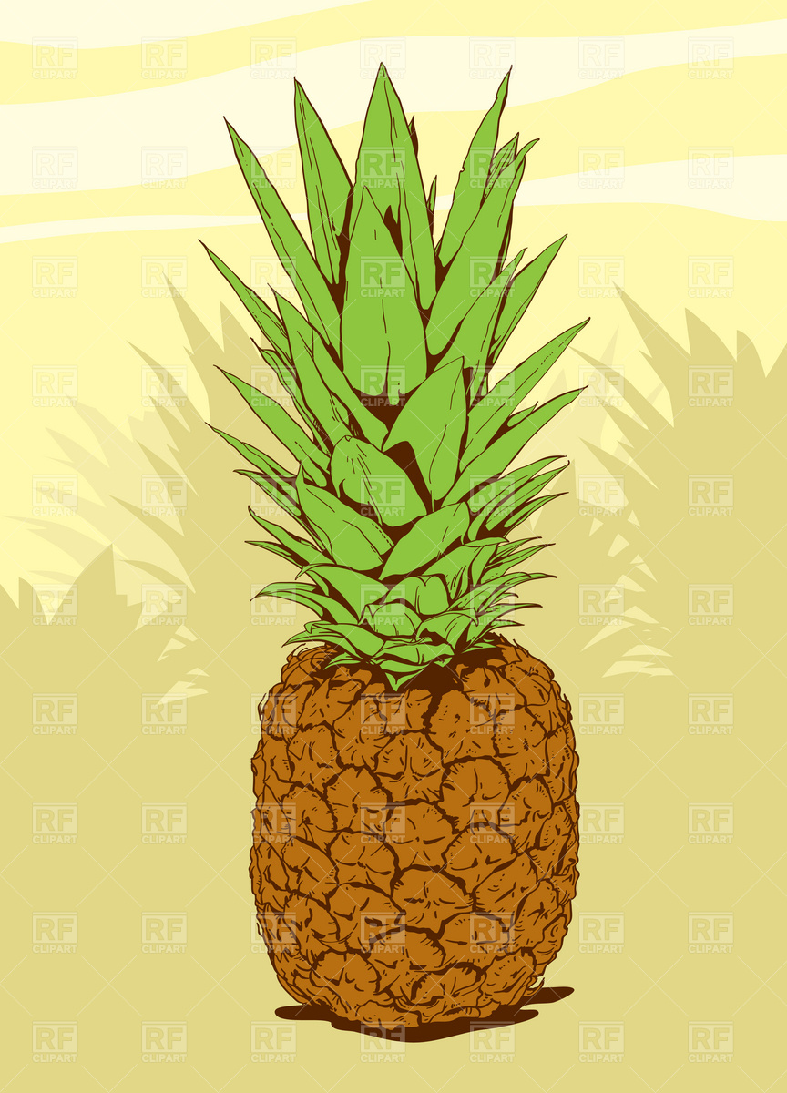 864x1200 Pineapple Vector Image Vector Artwork Of Food And Beverages