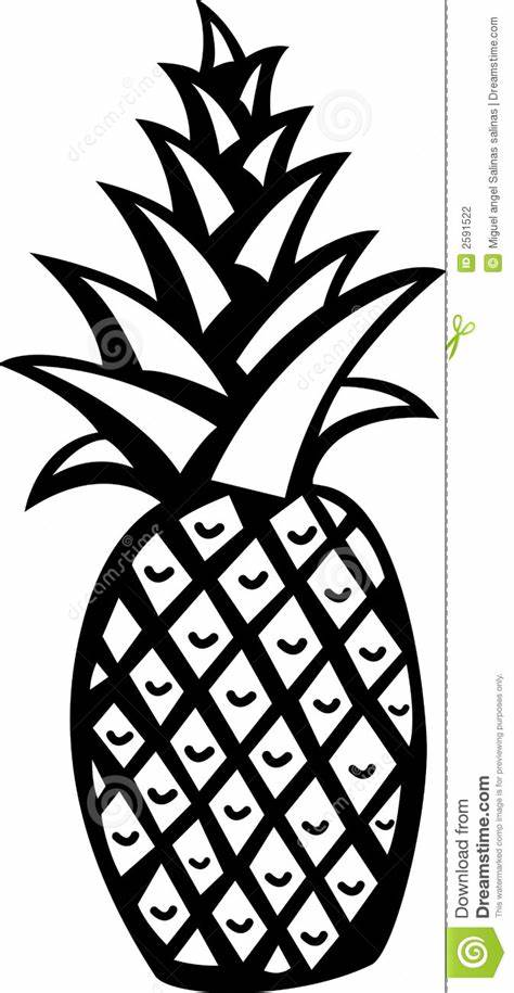 474x915 Pineapple Vector Outline. 15 Pineapple Vector Black Images
