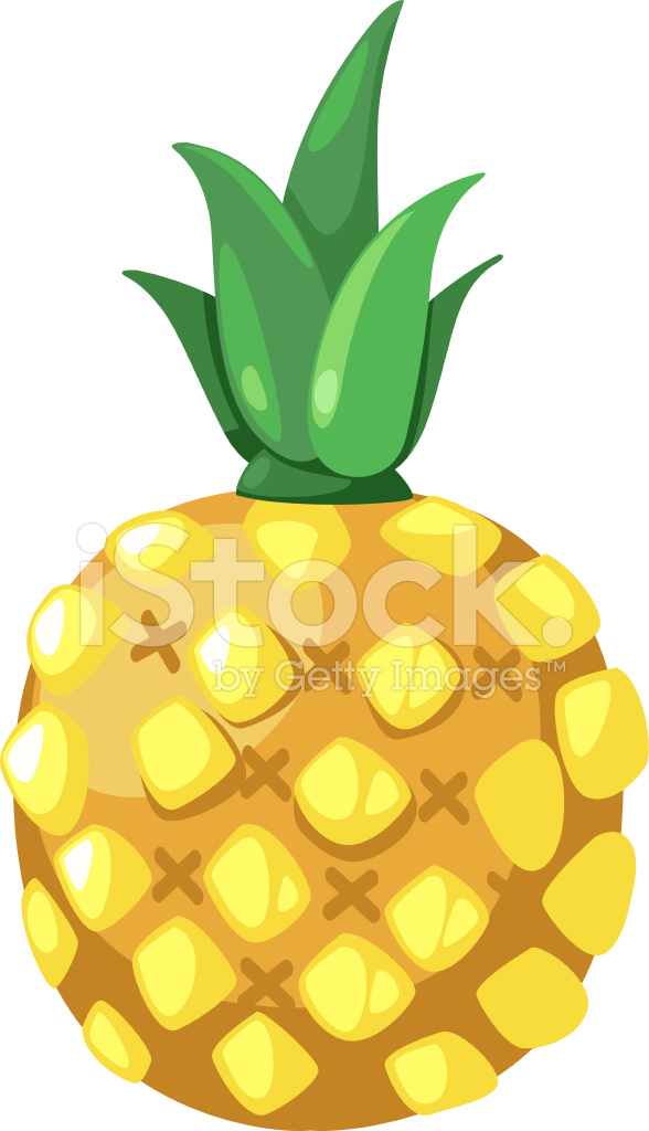588x1024 Pineapple Vector Stock Vector