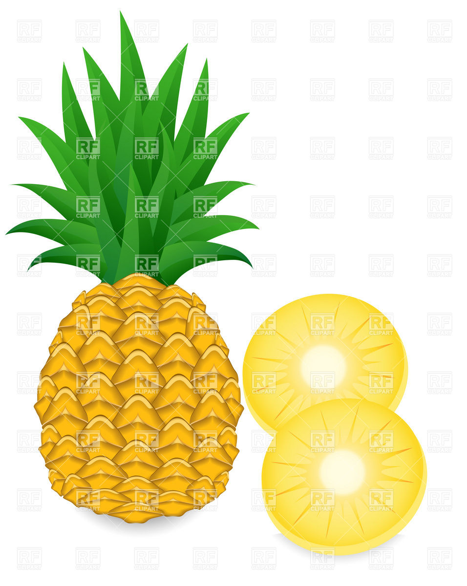 956x1200 Pineapple And Slice Vector Image Vector Artwork Of Plants And
