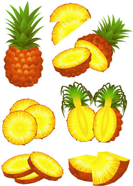 263x368 Pineapple Free Vector Download (130 Free Vector) For Commercial