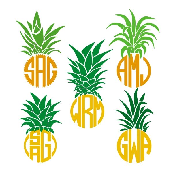 600x600 Pineapple Top Monogram Cuttable Frame Cut File Vector Clipart