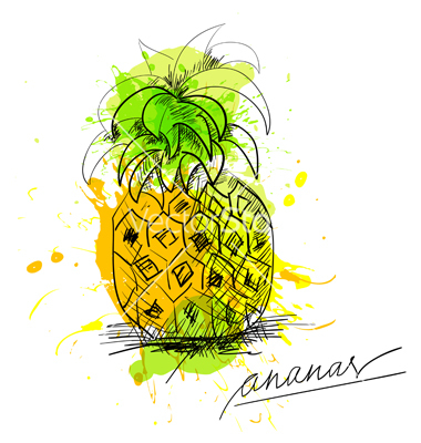 380x400 Sketch Of Pineapple Vector Clipart Panda
