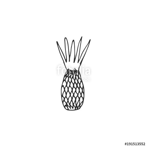 500x500 Pineapple Vector Draw Stock Image And Royalty Free Vector Files