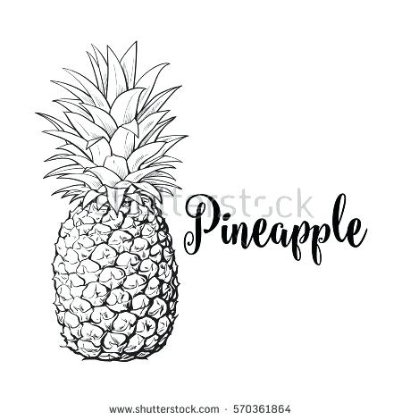 450x470 Pineapple Outline Coloring