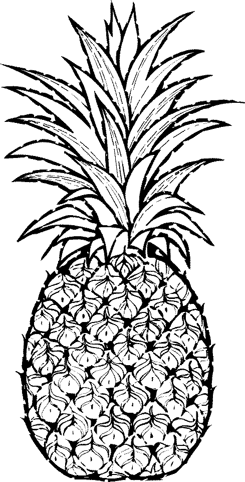 489x961 Pineapple Clipart Black And White