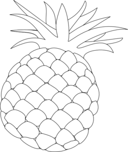 252x300 Collection Of Free Pineapple Vector Outline. Download On Ubisafe