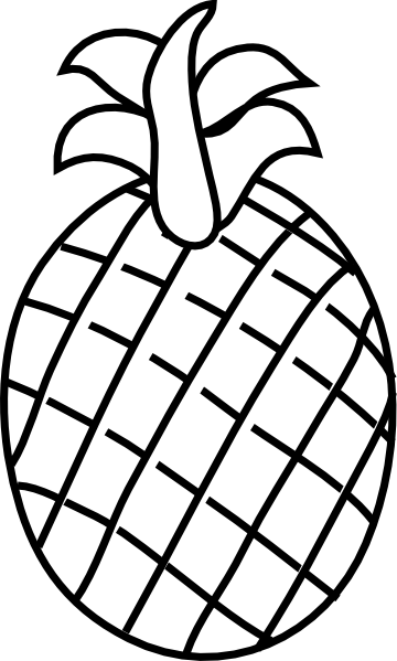 360x599 Pineapple Vector