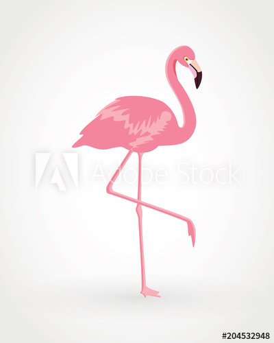 400x500 Pink Flamingo . Vector Illustration .isolated On White Background