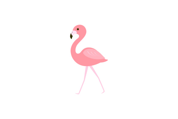 580x387 Pink Flamingo Vector Illustration Graphic By Sabavector