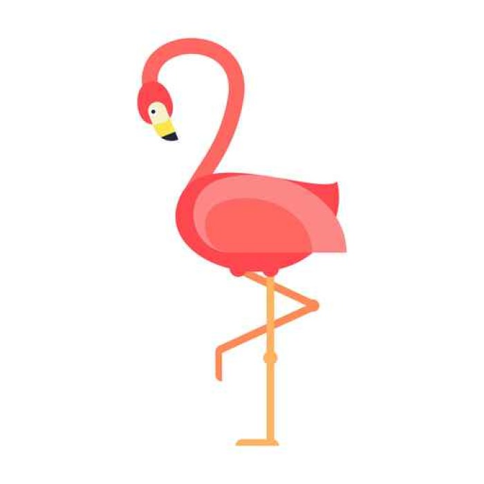 700x700 Cool Pink Flamingo Vector Illustration. Poster We Live