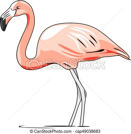 450x461 Pink Flamingo. Vector Illustration.