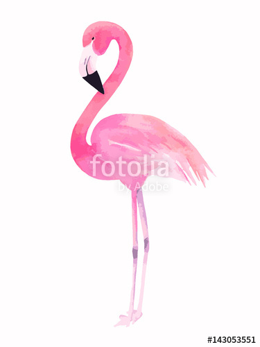 375x500 Watercolor Pink Flamingo. Vector Illustration Stock Image And
