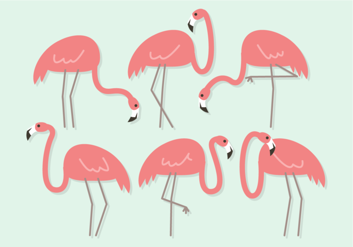 700x490 Flamingo Free Vector Art