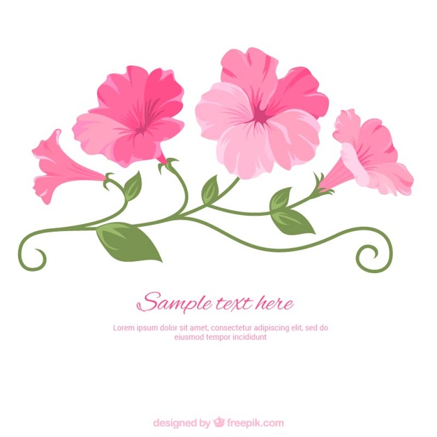 626x626 Illustrated Pink Flowers Vector Premium Download