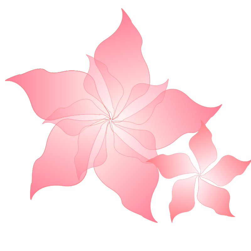 800x800 Pink Flower Free Vector 4vector