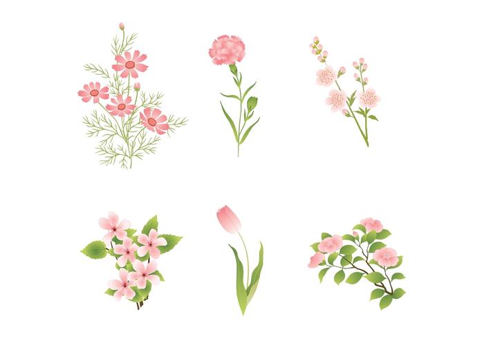 700x490 Various Pink Flower Vectors